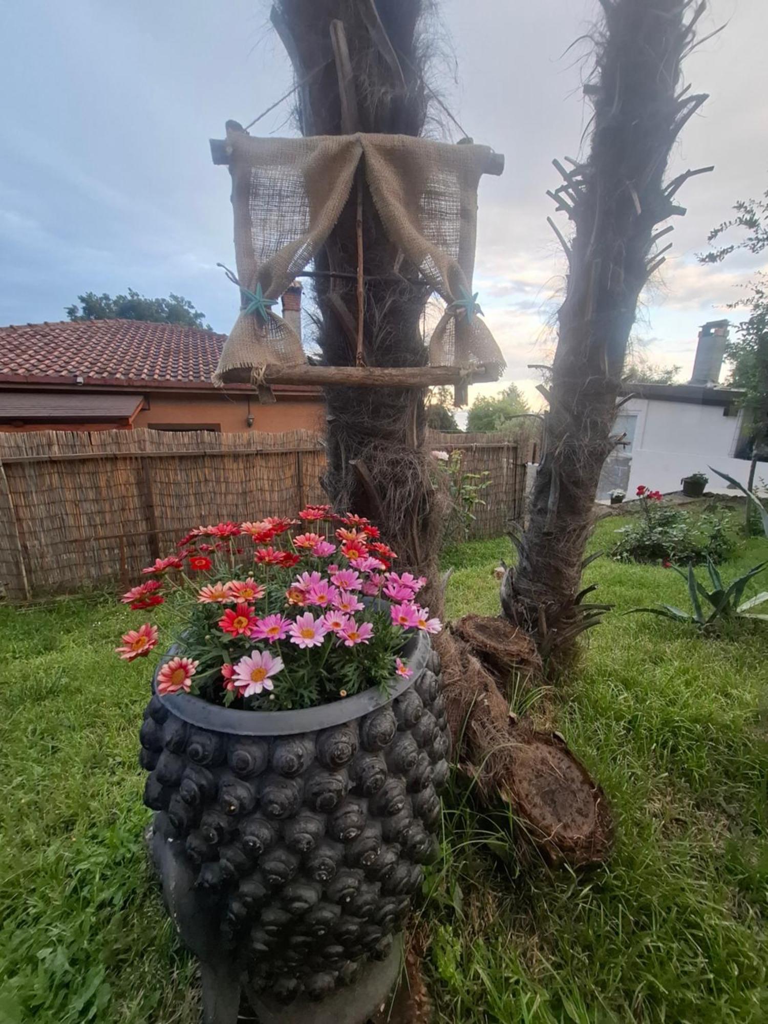 Apartman Envi Opatija Dış mekan fotoğraf