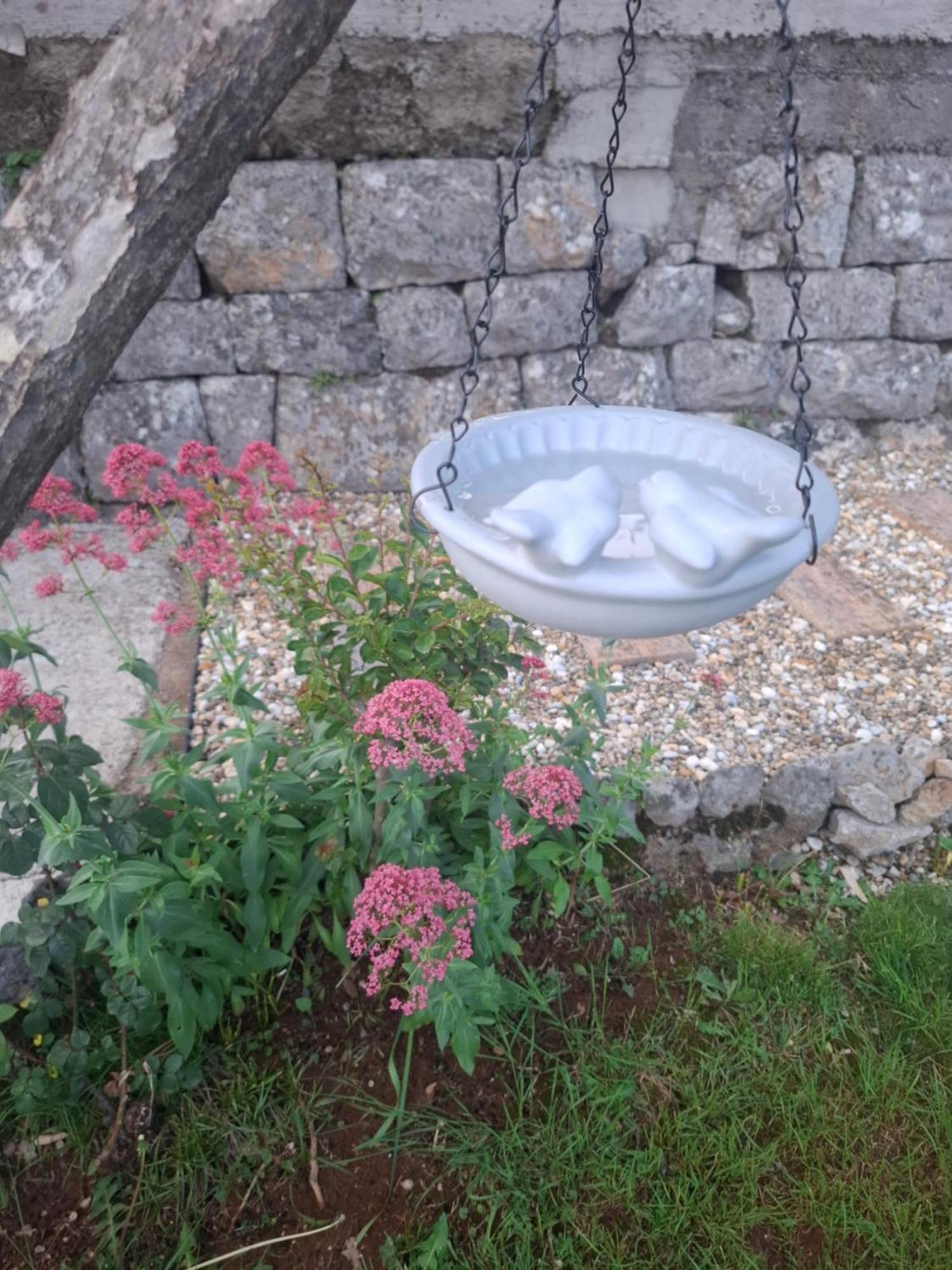 Apartman Envi Opatija Dış mekan fotoğraf
